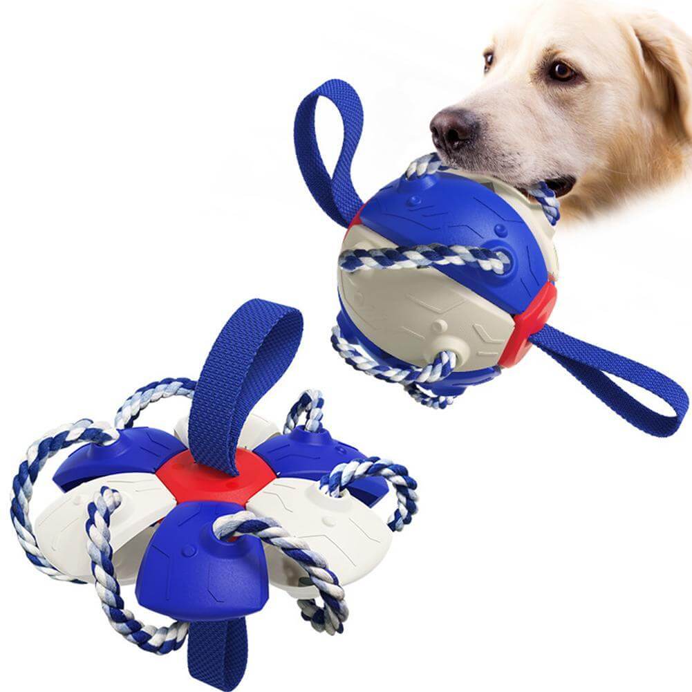 Interaktiivinen frisbee pallo koiran lelu