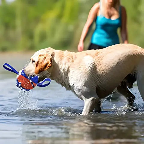 Interaktiivinen frisbee pallo koiran lelu