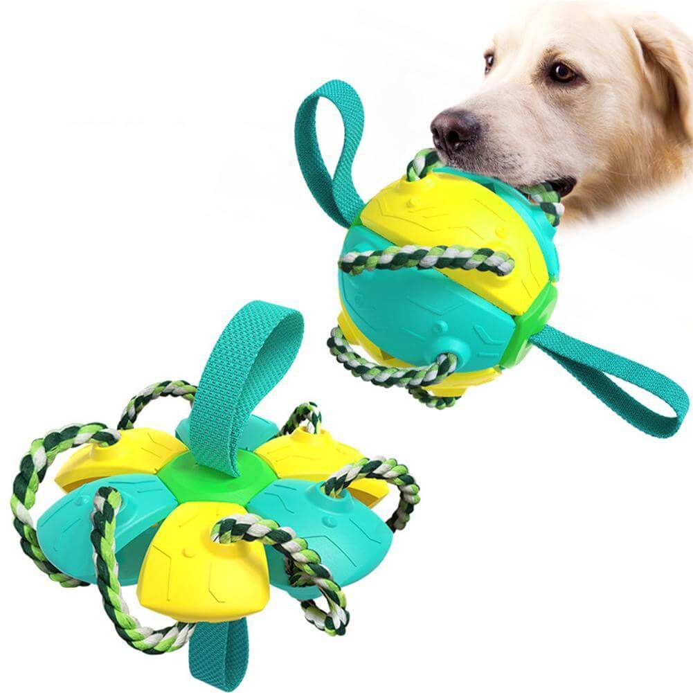 Interaktiivinen frisbee pallo koiran lelu