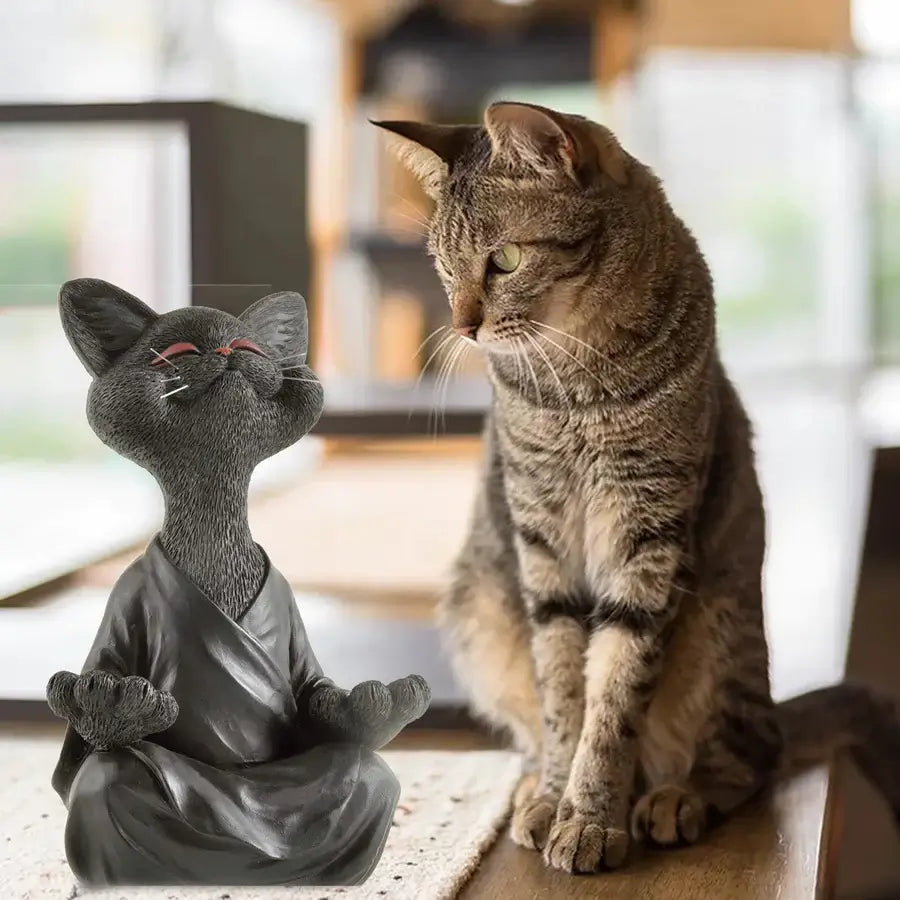 Meditoiva Buddha Kissa Figuuri