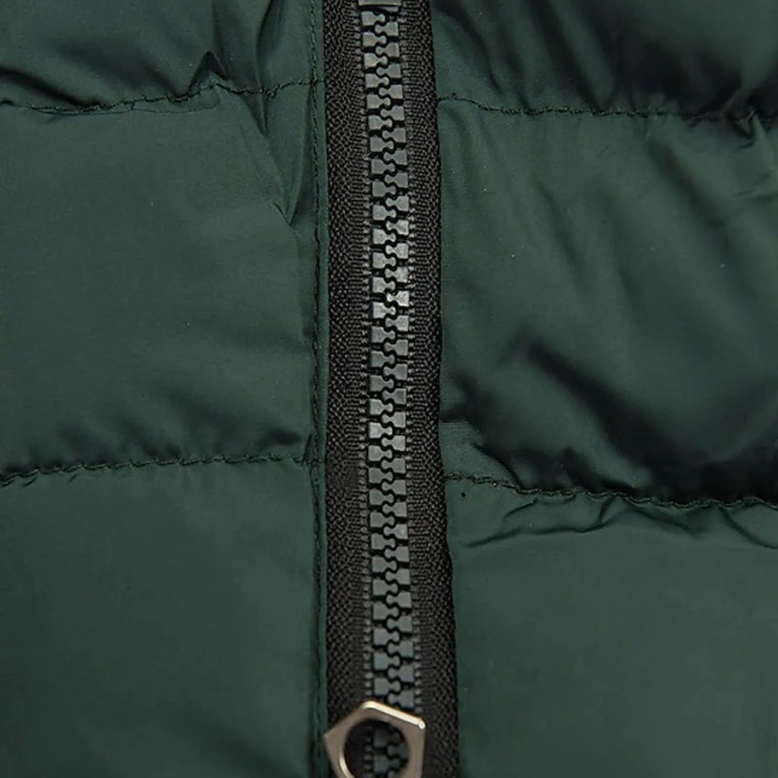 Naisten Slim-Fit puuvilla-pehmustettu parka